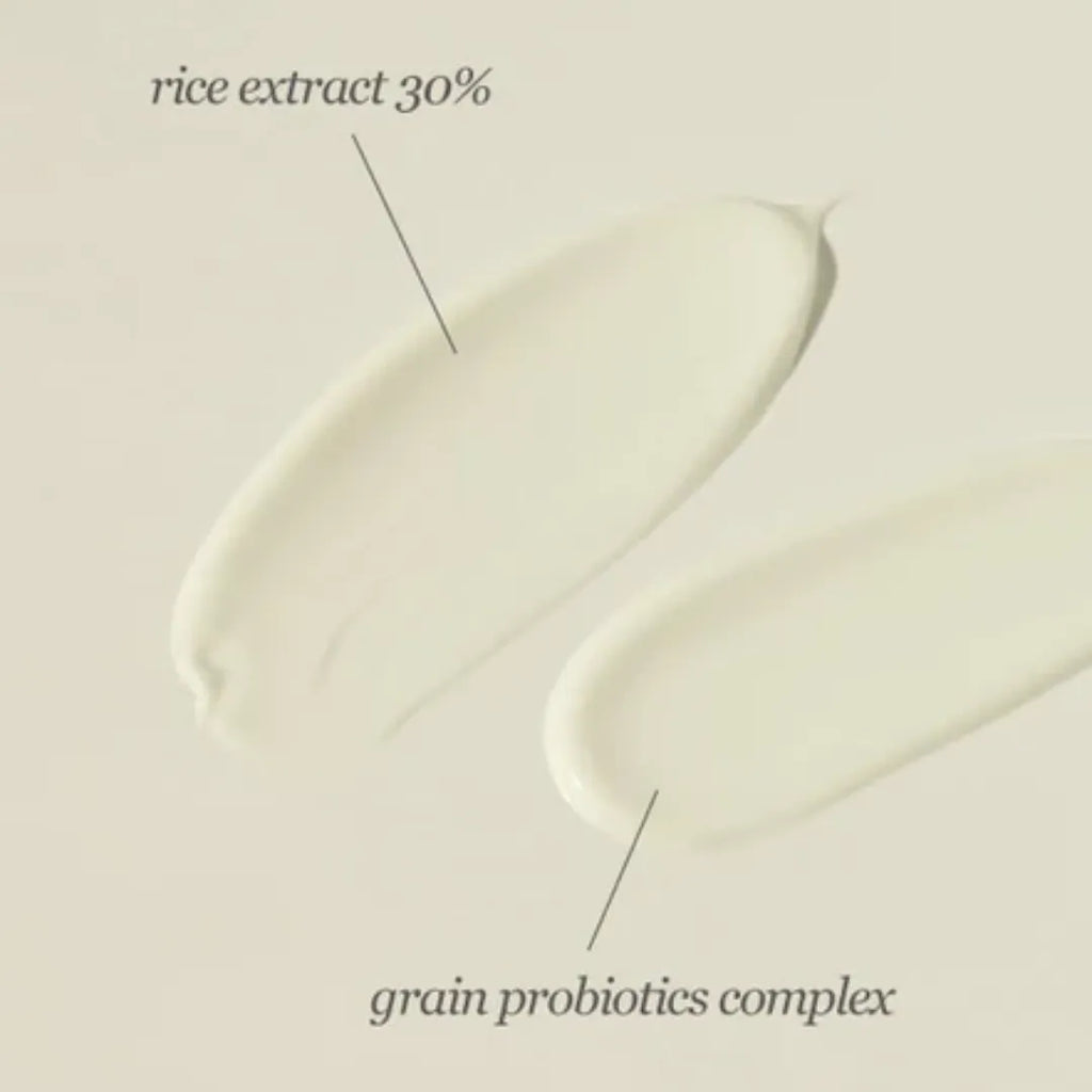 Beauty Of Joseon Relief Sun Rice + Probiotics SPF 50+ Pa++++ - 10ml Ingredients