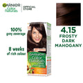 Garnier Hair Color - 4.15 Brownie Chocolate