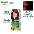 Garnier Hair Color - 4.6 Burgundy